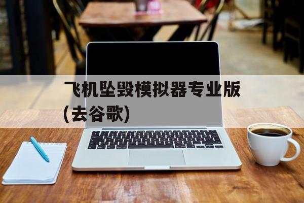 飞机坠毁模拟器专业版(去谷歌) 飞机坠毁模拟器专业版(去谷歌)