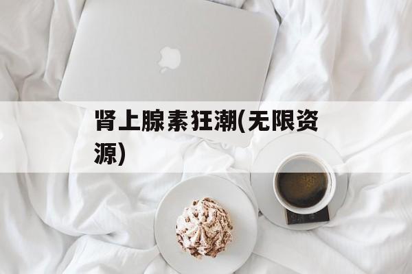 肾上腺素狂潮(无限资源) 肾上腺素狂潮(无限资源)